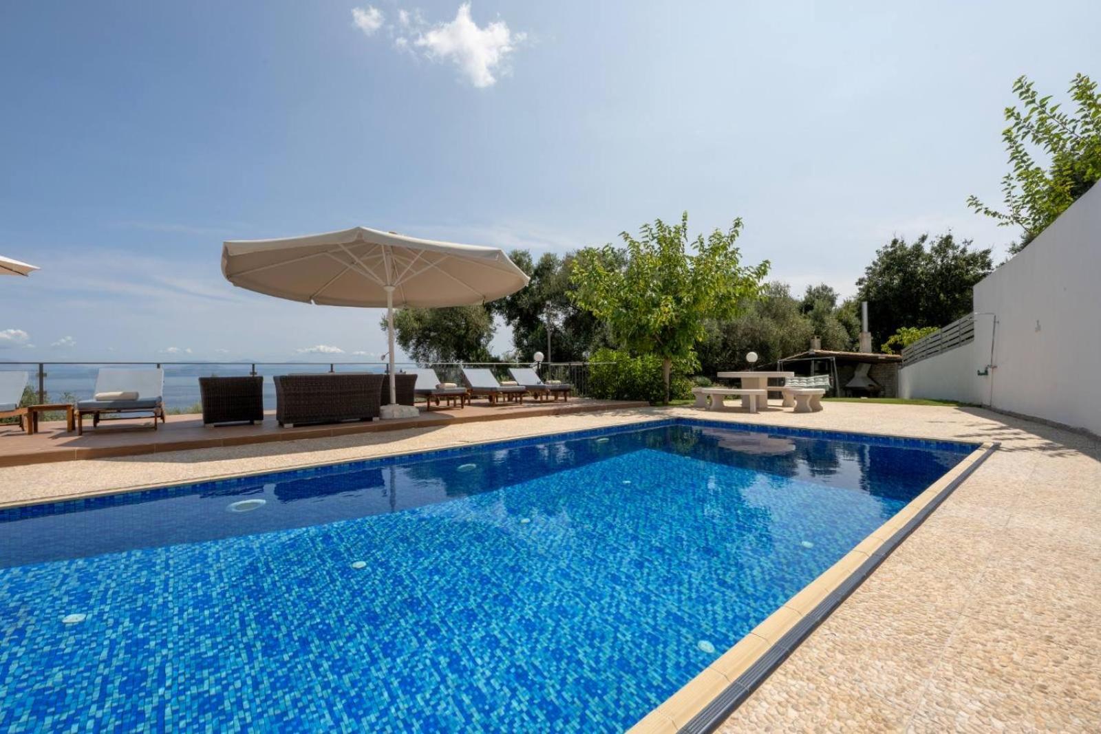 Luxury Villa Alexandros Corfu 帕拉马 外观 照片