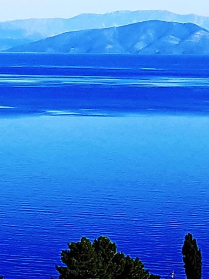 Luxury Villa Alexandros Corfu 帕拉马 外观 照片